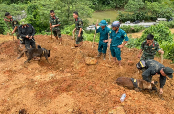 "Đội chó nghiệp vụ cảnh sát tham gia tìm kiếm nạn nhân"