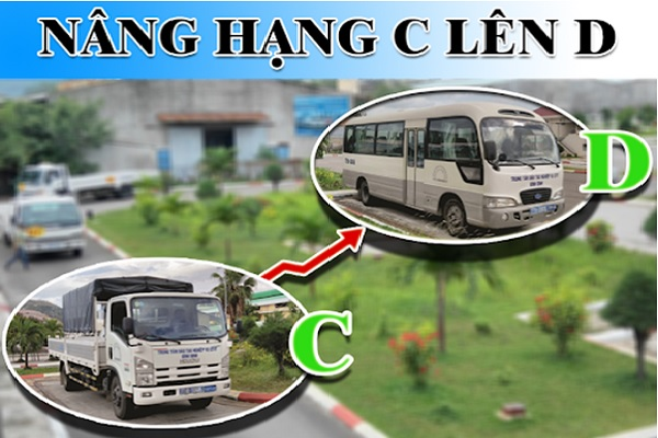 Muốn Nâng Lên Từ C Lên D Giấy Phép Lái Xe tối thiếu phải hạng C